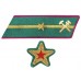 БРИГАДНЫЙ КОМИССАР, БРИГВРАЧ, БРИГВЕТВРАЧ, БРИГВОЕНЮРИСТ войск НКВД, петлицы и нарукавные знаки обр. 1935/36 г..